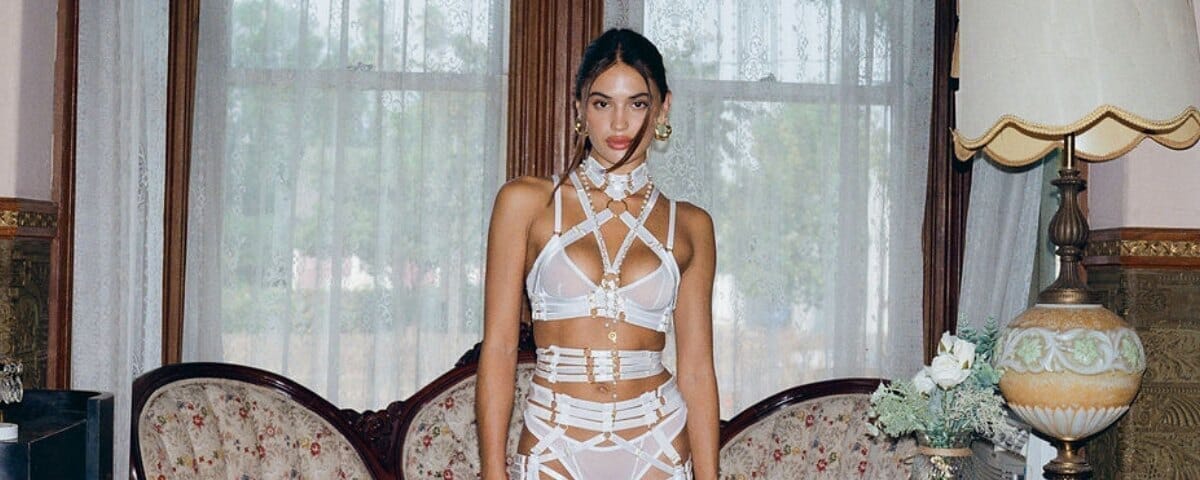 Sheer Lingerie at Cloud Blvd | Transparency in Play