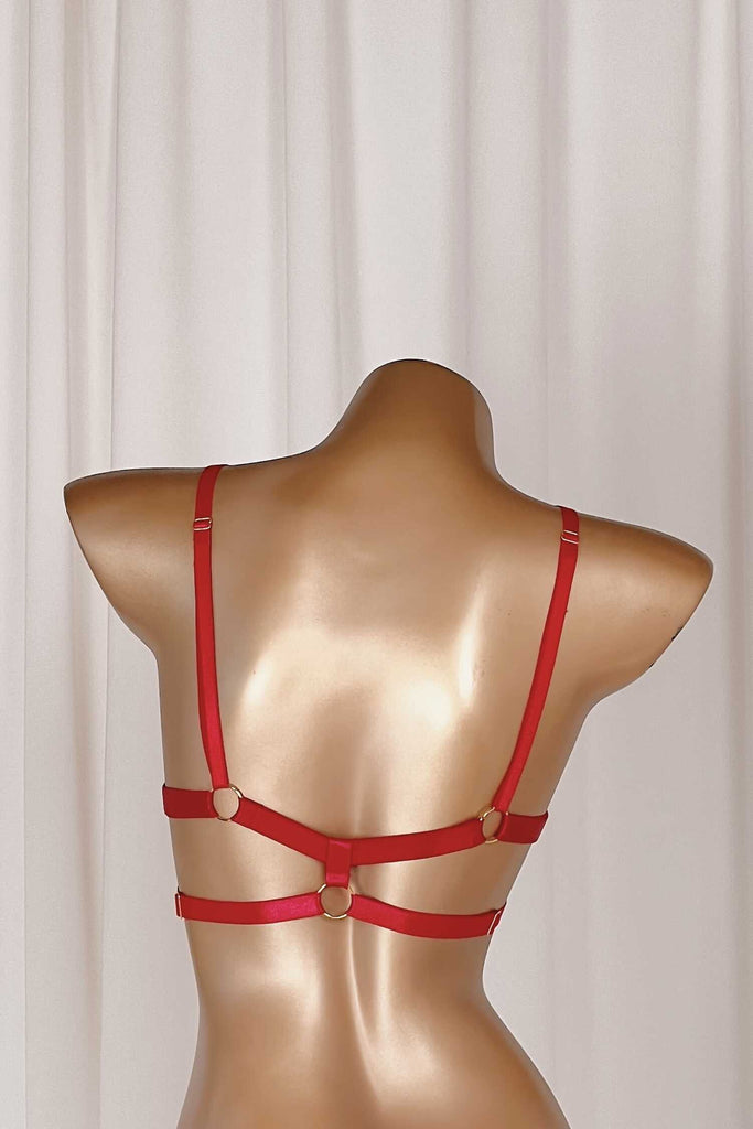 *On Hold 2 - 23/05 - Zendy Red Top/Bottoms HARNESSES Cloud Blvd 